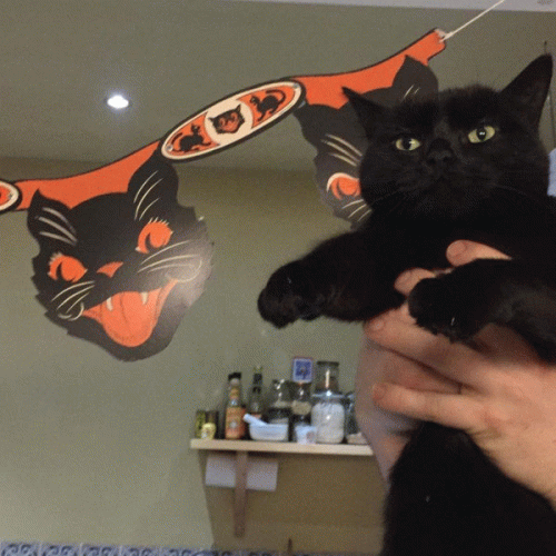 Bodies On Everest : Two Rats